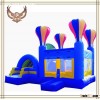 Inflatable Bouncy Castle Inflatable Combo for Kids
