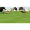 6300Dtex Field Green Golf Playground Yarn 10mm,Gauge 1/5 Golf Artificial Grass