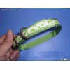 fashionable dog collar
