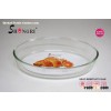 oval pyrex glass baking pan