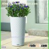 Flower Pots