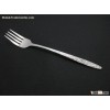 Western titanium fork