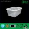 Plastic Food Container Can Be Taken Away (1000ML)