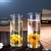High temperature small drinking glasses manufacturer