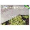 22GSM Frost Protection Cover For Garden Flower , Agricultural Fleece