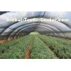 Hdpe Anti UV Greenhouse Roof Shade Netting , Polyethylene Shade Net