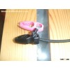 Shock cord