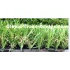 10000Dtex Fade Balcony Synthetic Grass Lawns / 25mm Fake Grass Rug For Home