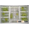 8OZ CUP 1.5L JUG Customized Printed Water Drinking Glasses Sets