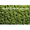 12mm 6000Dtex Green Tennis Court Artificial Grass , Synthetic Sports Grass