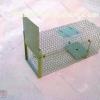 Rodent Trap Cage     HC2611