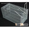 Skunk Trap  cage     HC2601