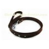 Impeccable Genuine Pet leash in copper from 4  to 6  length With round rivets