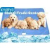 Professional Summer Firmer Gel Cats Dog Bed Cooling Pad For Animals