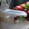 Rectangle tempered glass bowl with plastic lid