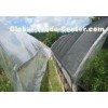 Black Plastic Greenhouse Shade Netting For Agriculture , 4 x 100m