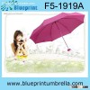 MINI AND LIGHT lady pocket umbrella