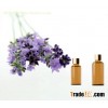 Lavender Essential Oil