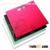 Bathroom Scale DMR-TY6101