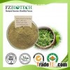 Green Tea Powder