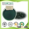 Spirulina Powder
