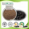 Black Pepper Powder
