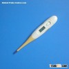 Flexible Thermometer