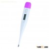 Rigid Tip Thermometer