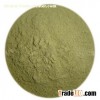 Ginkgo Biloba Powder