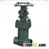 Forged Steel bellow sealed Valve