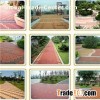 Water Retentivity Brick For Prevention Of Global Warming