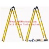 Frp Telescopic and extension ladder,Two-section fiberglass ladders