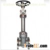 F304L/graphite Bellow Seal Gate Valve