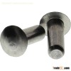 modidfied brazier head rivet