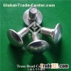Carriage Bolts