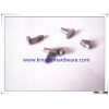 stainless steel screw,special screw with OEM and customization