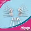 Rivet