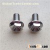 Titanium Hexagon Flange Bolt