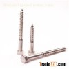 Lag Screws