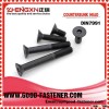 China manufacture screw bolt DIN7991 good fastener supplier