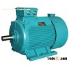 Three-phase Adjustment Speed Asynchronous Marine Motor