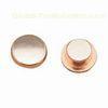 temperature controller electrical rivet contacts of AgSnO2 silver alloy