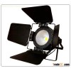 100W Indoor LED Par Light