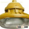 Explosion Proof Induction Lighting MX-YQL50