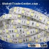 LED Strip Light Outdoor