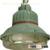 Explosion Proof Induction Lighting MX-YQL80