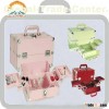 Aluminum beauty case
