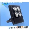 LED Flood Light