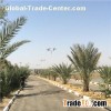 30W Solar Street Light