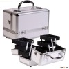 Aluminum cosmetic case (ZYD-447)